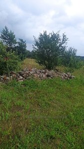 Buy a lot of land, for building, Наукова, Zhorniskaya, Yavorivskiy district, id 4128943