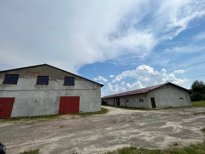 Commercial real estate for sale, Freestanding building, Центральна, Khorosno, Pustomitivskiy district, id 3967760