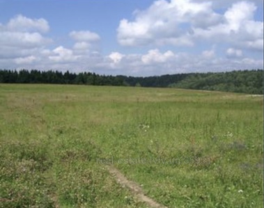 Buy a lot of land, for building, Спортивна, Vovkiv, Pustomitivskiy district, id 3947902