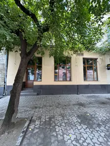 Аренда коммерческой недвижимости, Сечевых Стрельцов ул., Львов, Галицкий район, id 5926411