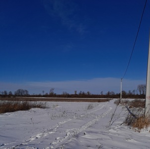Buy a lot of land, agricultural, Yampol, Pustomitivskiy district, id 4521649
