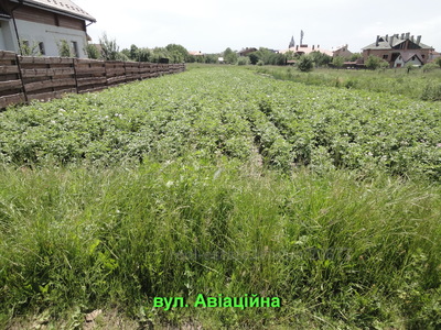 Buy a lot of land, agricultural, Andreia Sheptytskoho Street, Sokilniki, Pustomitivskiy district, id 2163476