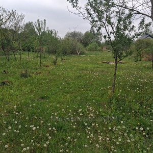 Купити ділянку, сільськогосподарського, Басівка, Пустомитівський район, id 5830944