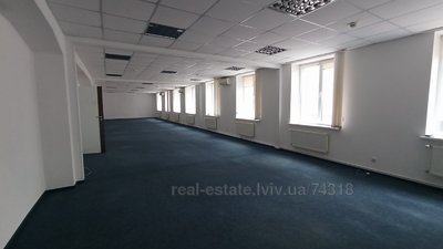 Commercial real estate for rent, Business center, Storozhenka-O-vul, Lviv, Zaliznichniy district, id 4376374