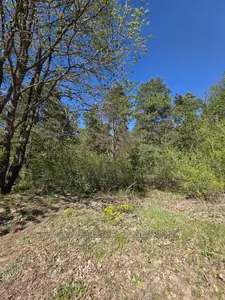 Купити ділянку, Підлісна, Страдч, Яворівський район, id 5923660