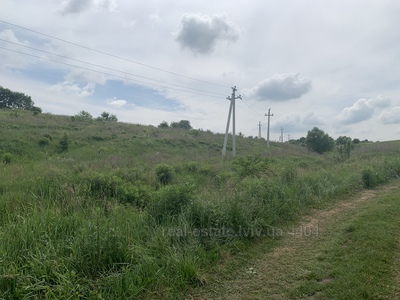 Buy a lot of land, for building, Лесі Українки, Zubra, Pustomitivskiy district, id 4168677