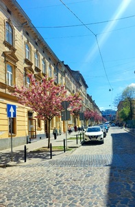 Buy an apartment, Austrian, Kotlyarska-vul, Lviv, Galickiy district, id 4435115