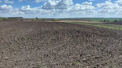 Buy a lot of land, agricultural, Krotoshin, Pustomitivskiy district, id 5911915