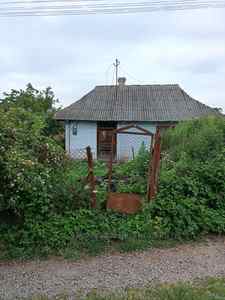 Buy a lot of land, лисинка, Didiliv, Kamyanka_Buzkiy district, id 4610459