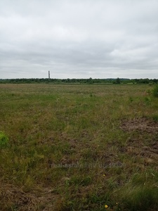 Buy a lot of land, agricultural, Volya Visockaya, Zhovkivskiy district, id 3864638
