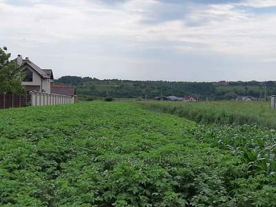 Buy a lot of land, for building, Sokilniki, Pustomitivskiy district, id 4459829