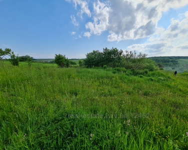 Buy a lot of land, Staroe Selo, Pustomitivskiy district, id 4510307