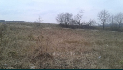Buy a lot of land, Mizhgore, Peremishlyanskiy district, id 4524499