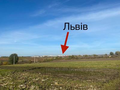 Buy a lot of land, for building, Zubra, Pustomitivskiy district, id 4218066