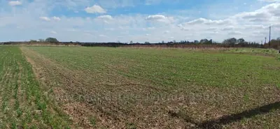 Купити ділянку, під забудову, Шевченка, Дібрівки, Пустомитівський район, id 5913776