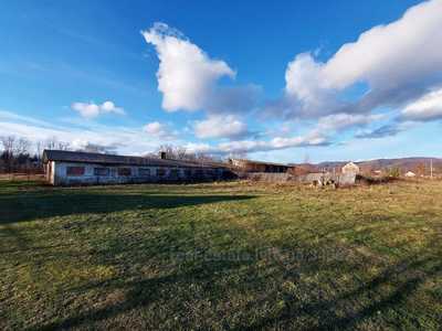 Commercial real estate for sale, Property complex, Verkhnee Sinovidnoe, Skolivskiy district, id 5897235
