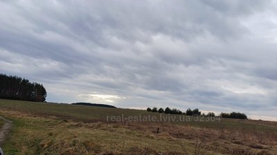 Buy a lot of land, біля лісу, Vorociv, Yavorivskiy district, id 4603548