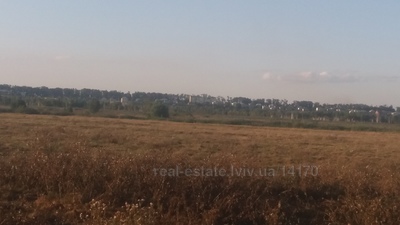 Buy a lot of land, Gamaleevka, Pustomitivskiy district, id 1026096