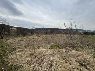 Buy a lot of land, agricultural, Volica, Pustomitivskiy district, id 4495402