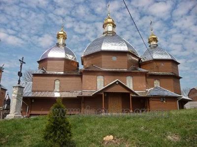 Купить участок, Черешнева, Гребинцы, Жовковский район, id 5848336