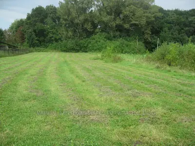 Buy a lot of land, for building, Лісова, Buchali, Gorodockiy district, id 5925107