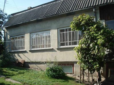 Buy a house, Бориничі, Borinichi, Zhidachivskiy district, id 4543499