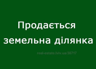 Buy a lot of land, agricultural, Долина, Sholomin, Pustomitivskiy district, id 3893844