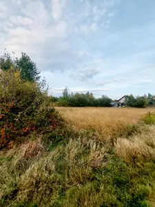Купить участок, под застройку, Суховоля, Городоцкий район, id 5914386