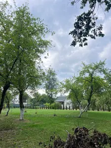 Купити ділянку, Велика Калинка, Городоцький район, id 5925397