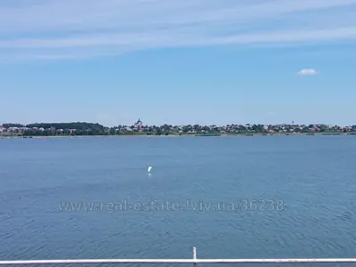 Buy a lot of land, gardening, Гамаліївка, Gamaleevka, Pustomitivskiy district, id 5923298