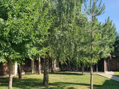 Купить дом, Дом, Коновальця, Солонка, Пустомытовский район, id 5915298