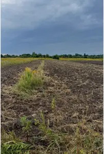 Купити ділянку, комерційного, Ямпіль, Пустомитівський район, id 5916309