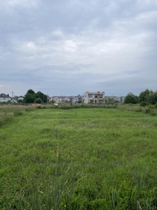 Buy a lot of land, for building, Зубра, Zubra, Pustomitivskiy district, id 4592324