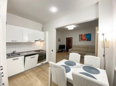 Rent an apartment, Kleparivska-vul, Lviv, Shevchenkivskiy district, id 4439226