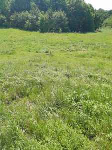 Buy a lot of land, for building, Obroshinoe, Pustomitivskiy district, id 4490218