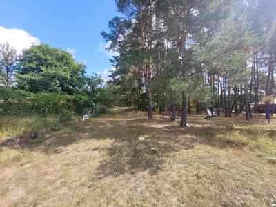 Купить дом, Дом, Старый Добротвир, Камянка-Бузкий район, id 5877898