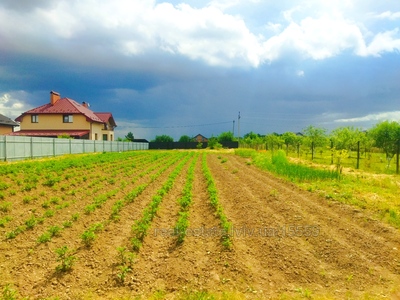 Buy a lot of land, for building, Dobrivlyani, Striyskiy district, id 4599641