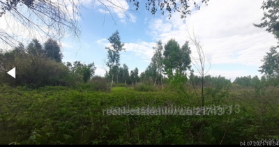 Buy a lot of land, for building, Sokilniki, Pustomitivskiy district, id 3817600