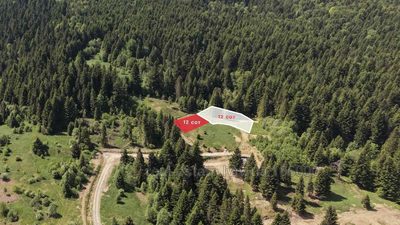 Buy a lot of land, gardening, Львівська, Skhidnica, Drogobickiy district, id 5905619