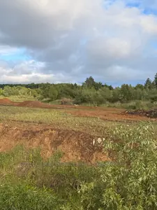 Купить участок, Білогорська, Зимна Вода, Пустомытовский район, id 5924805