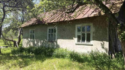 Buy a house, Home, Січових Стрільців, Verkhnee Sinovidnoe, Skolivskiy district, id 4068197