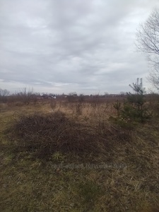 Buy a lot of land, for building, Ж, Zimna Voda, Pustomitivskiy district, id 4536122