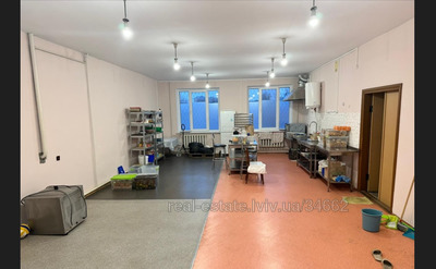 Commercial real estate for rent, Non-residential premises, Khmelnickogo-B-vul, Lviv, Shevchenkivskiy district, id 4514937