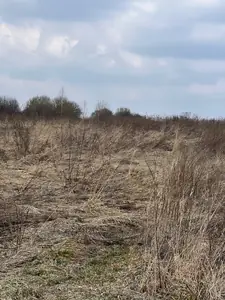 Купити ділянку, Сокільники, Пустомитівський район, id 5912578