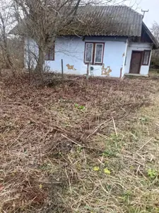 Купить дом, Лани-Соколивские, Стрийский район, id 5923406