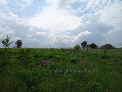 Buy a lot of land, for building, Шевченка, Podberezcy, Pustomitivskiy district, id 3274990