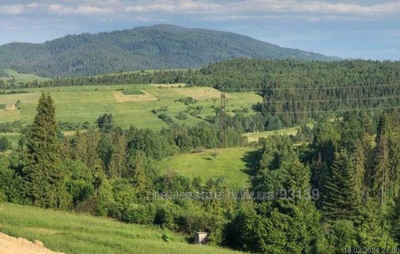 Buy a lot of land, for building, Бринівська, Plavya, Skolivskiy district, id 4487207