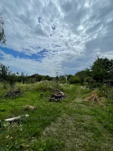 Купить участок, Центральна, Виннички, Пустомытовский район, id 5918827