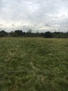 Купити ділянку, Бірки, Яворівський район, Львівська обл., , 539 900