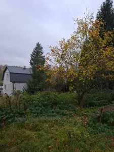 Rent a house, Home, Центральна, Rakitno, Yavorivskiy district, id 5932203